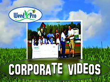 Corporate Videos